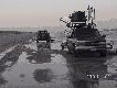 Sharkathon_2011_050.jpg