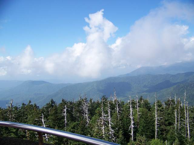 view_from_clingmans_dome.jpg